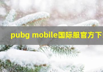 pubg mobile国际服官方下载